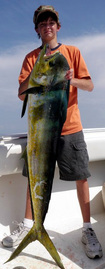 Dorado Fishing, Cheap Fishing charters, Texas Bay fishing trips